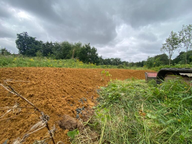 Bee Bank Habitat Creation Essex