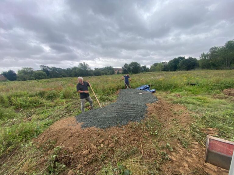 Bee Bank Creation Essex