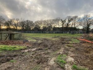 Tree Protection Fencing East Sussex