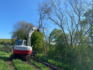 Tree Removal Services Using Tree Shear