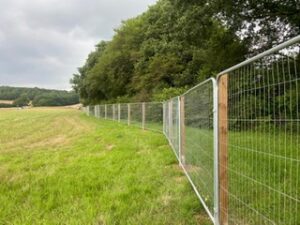 Tree Ptotection Fencing Horsham West Sussex