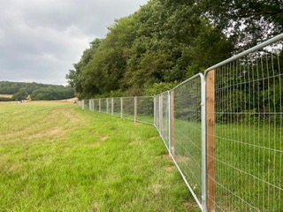 Tree Protection Fencing Horsham West Sussex